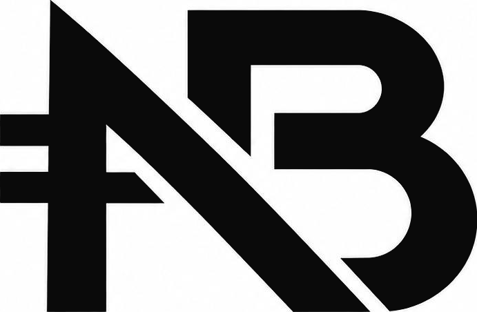 NairaBridge FX logo